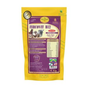 Fercovit B12 - Antianêmico, Ferro, Cobalto, Vitaminas B1, B2, B6, B12, Antioxidante.