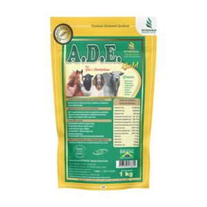 A.D.E Gold - Vitaminas A, D e E, selênio, cálcio, antioxidantes e probióticos
