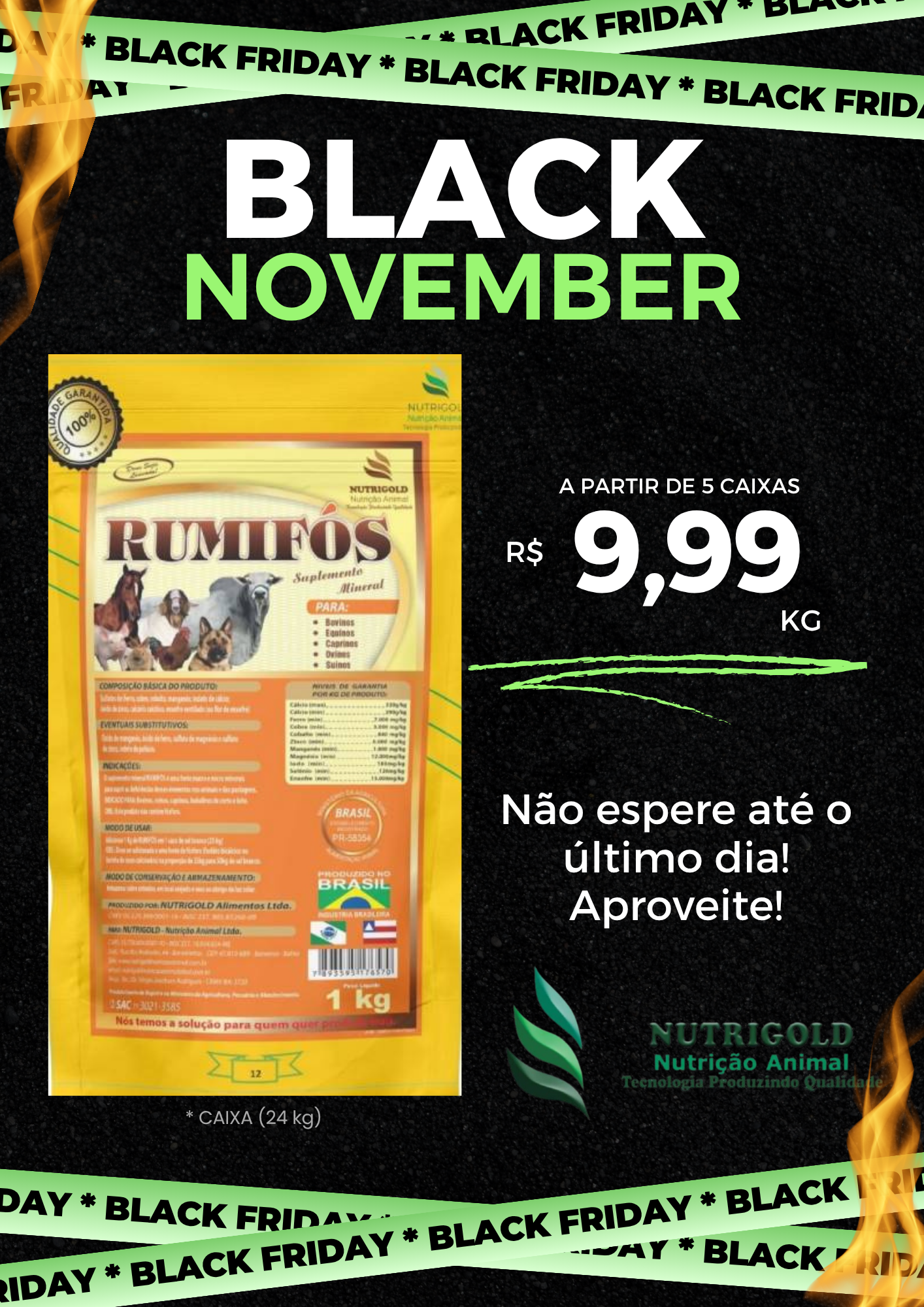 Rumifós - Suplemento Mineral, Ferro, Cobalto, Zinco - Imagem 2